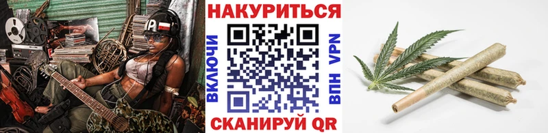 Каннабис сатива  Чудово 